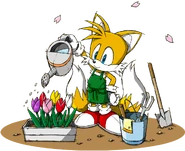 Sonic Channel - Miles Tails Prower 2013