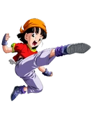 Pan Blog