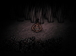 Pumpkin Lantern night