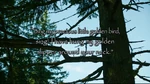 Quote 116