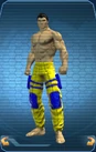 LegsParamilitary