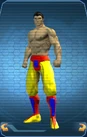 LegsTechNinja