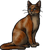 Daisytail.warrior