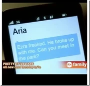 The text