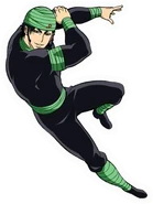 CocoGurumega