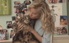 BrittanyCat