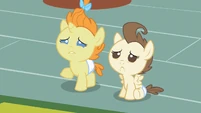 Pound & Pumpkin Cake saddened S2E13