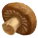 Portobello Mushroom