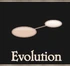 BBMenu Evolution