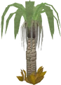 Ardigal tree.png