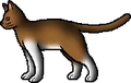 Clovertail.rogue.png
