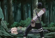 SakuravsHayate