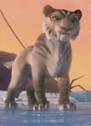 Shira (main)