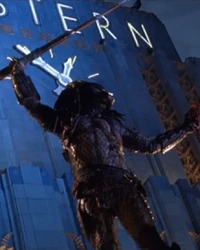 City Hunter