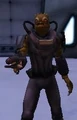 Mrash.jpg