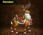 Reindeer