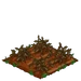 Lokelani withered