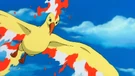 P02 Moltres