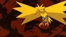 P02 Zapdos