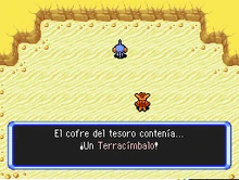 Cogeterracim