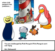 Poke peng battle