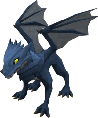 Baby blue dragon