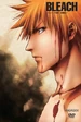 Bleach Vol. 23 Cover