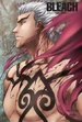 Bleach Vol. 26 Cover