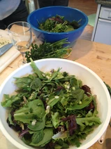 Sansa salad