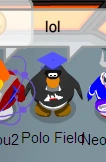 Polofieldlol.jpg (41 KB) Polofieldlol