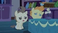 Pound & Pumpkin Cake just no S2E13.png