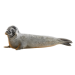 Item grayseal 01