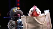 Gonzo