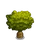 Queensland Bottle Tree-icon