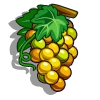 Semillon Grape-icon