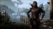 Bosmer (Online)