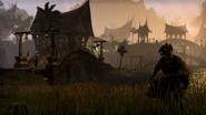 Khajiit (Online)