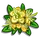 Yellow Myrtle Flower-icon