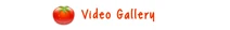 Videogal