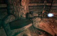 Leyawiin Recommendation Coffin