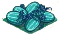 Seawatermelon 100.png
