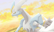 MM3D Kyurem Blanco