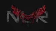NLR 8