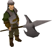 Border guard