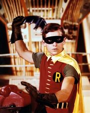Robin