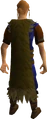 Eagle cape equipped.png