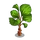 Licuala Palm Tree-icon