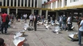 IMG 1083.jpg