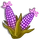 Purple Sweet Corn-icon