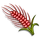 Red Australian Wheat-icon